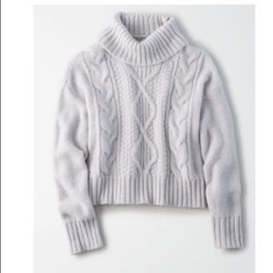 AE Turtleneck Sweater